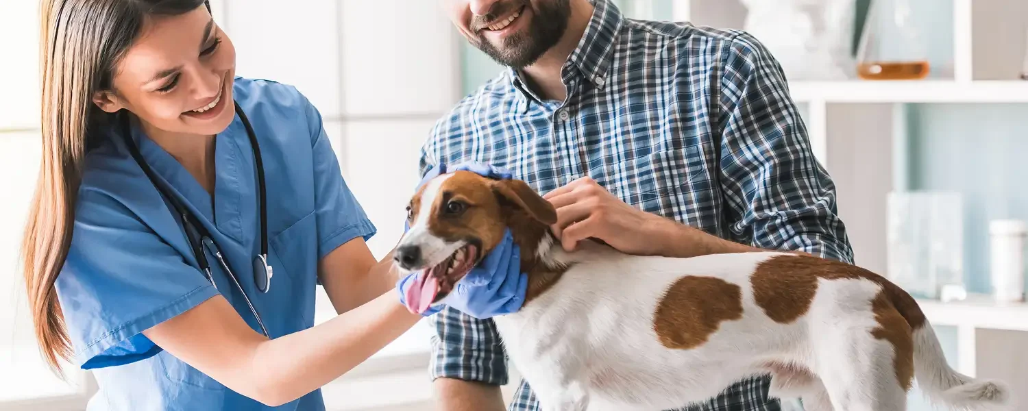 Pets and Pet Care
